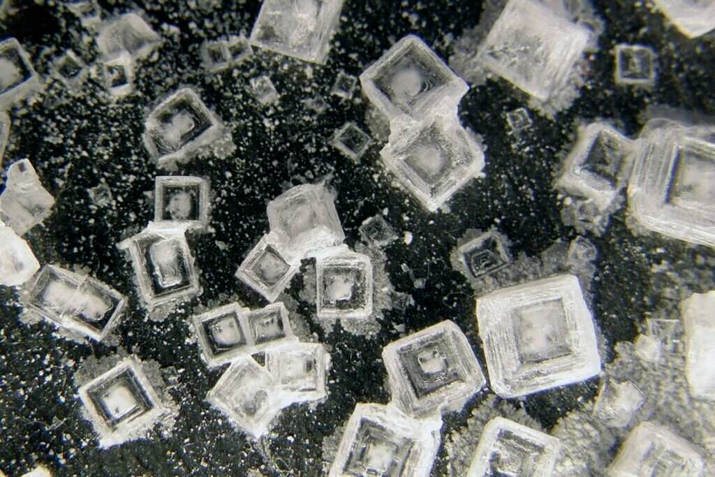 Salt crystals under microscope